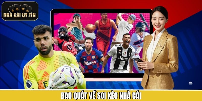 Bao quát về soi kèo nhà cái