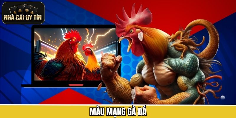 Màu mạng gà đá