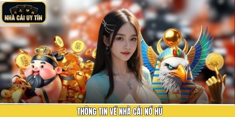 Thông tin cơ bản về những sân chơi slot uy tín