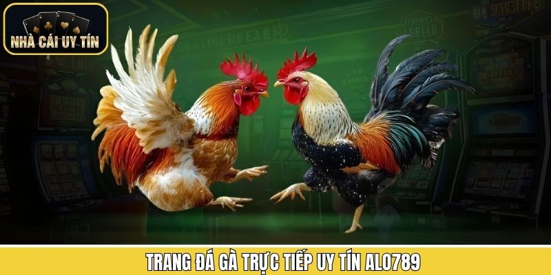 Thương hiệu Alo789 cung cấp giải đấu đá gà đa dạng